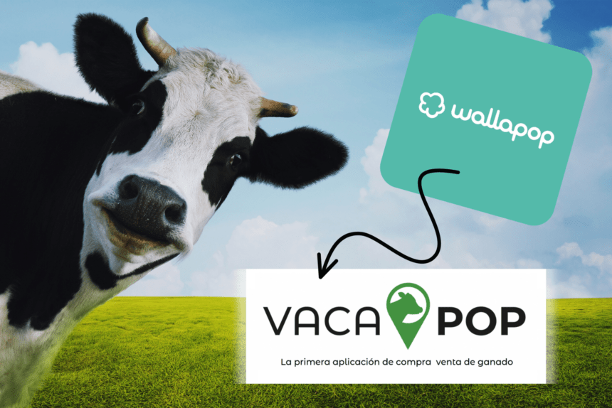 Vacapop, la app para comprar y vender ganado