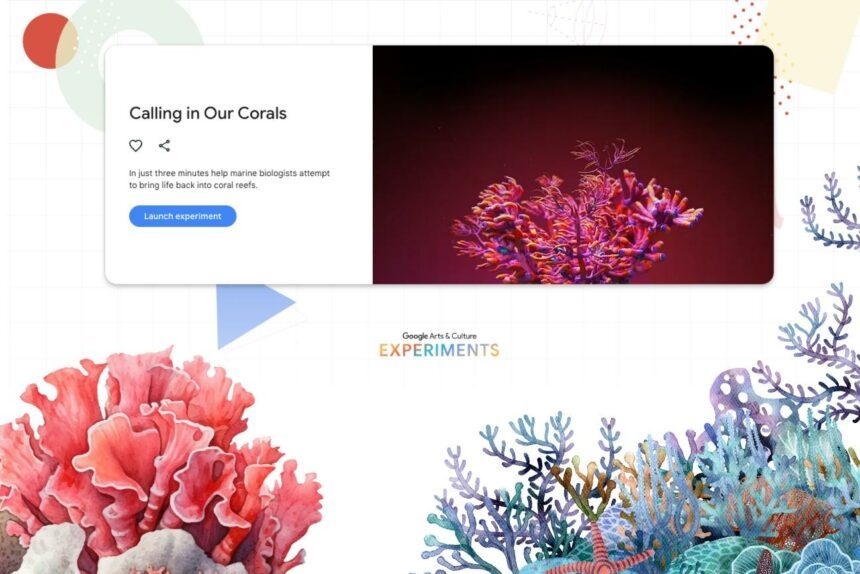 Google pretende salvar los corales con su nueva herramienta con IA SurfPerch